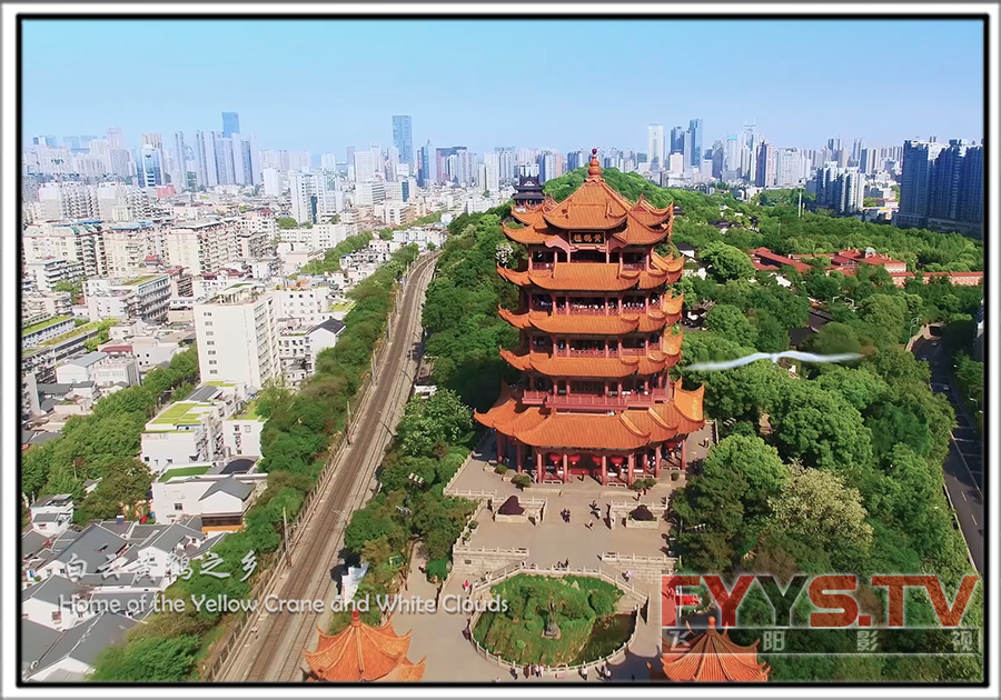 武漢濕地城市申報(bào)片