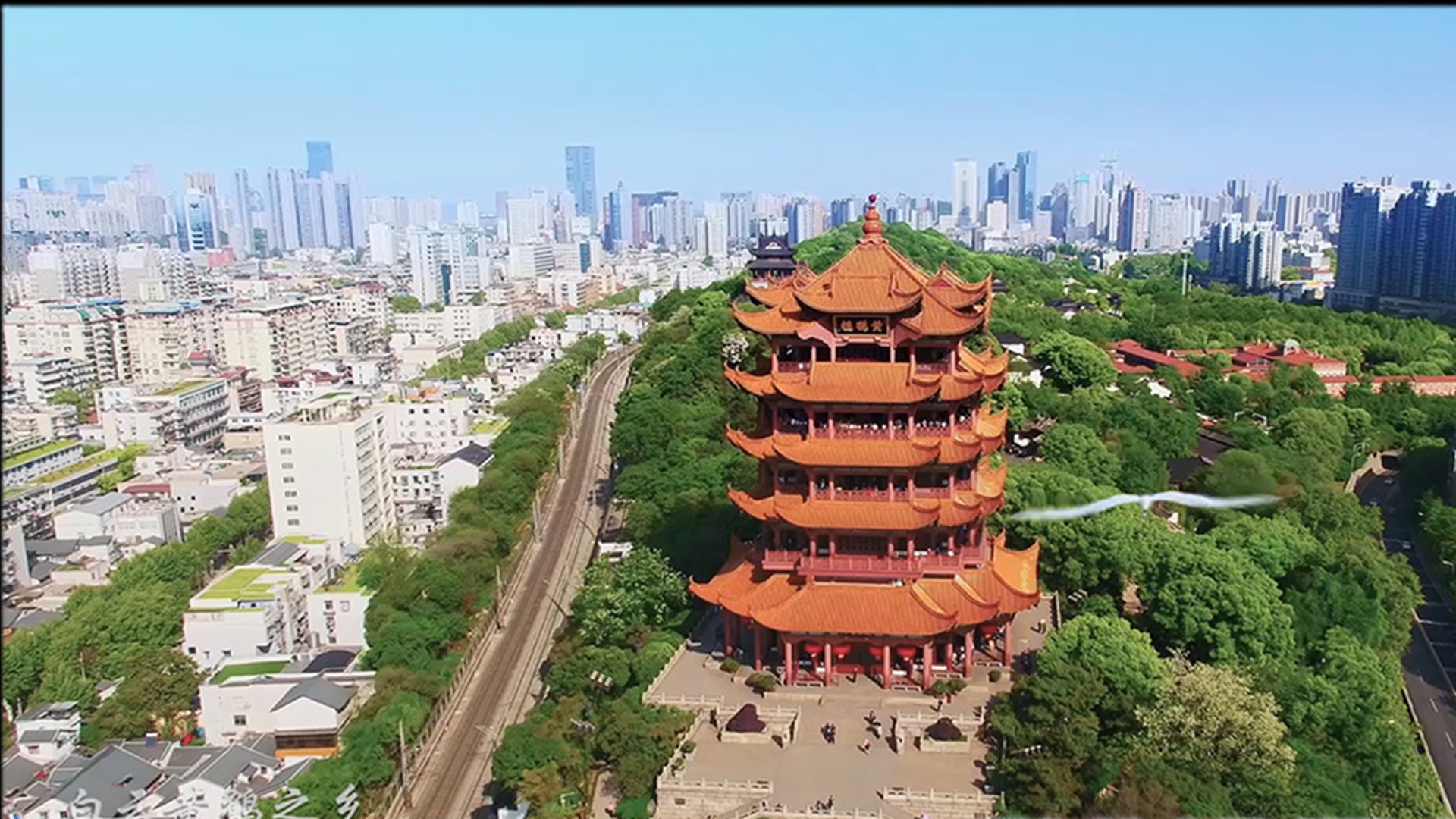 武漢濕地城市申報片